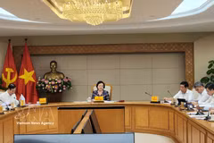 La viceprimera ministra de Vietnam, Pham Thi Thanh Tra, insta a acelerar la implementación de mecanismos específicos para la identificación de restos de mártires. (Foto: VNA)