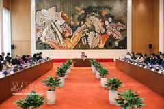 La vicepresidenta de la Asamblea Nacional de Vietnam, Nguyen Thi Hong, sostiene encuentro con una delegación de alto nivel del Consejo Empresarial Estados Unidos-ASEAN (USABC). (Foto: VNA)