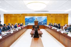 La sesión de trabajo en Vientiane entre los comités de Paz de Vietnam y Laos. (Foto: VNA)