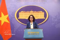 La portavoz del Ministerio de Relaciones Exteriores, Pham Thu Hang. (Foto: VNA)