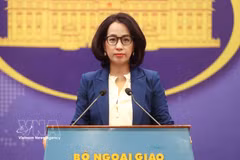 La portavoz del Ministerio de Relaciones Exteriores, Pham Thu Hang. (Foto: VNA)