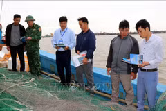 Ninh Binh intensifica lucha contra pesca ilegal. (Foto: VNA)