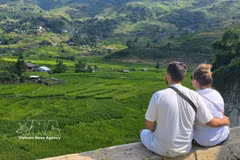 Turistas extranjeros contemplan terrazas de arroz en Vietnam. (Foto: VNA)
