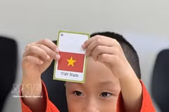 Un niño canadiense-vietnamita en clase de idioma vietnamita (Foto: VNA)