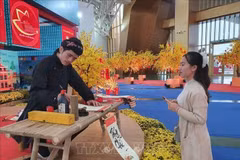 Vietnam muestra la esencia de sus aldeas artesanales en Feria de Primavera 2026