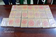 La policía de la provincia centrovietnamita de Nghe An incauta 22 ladrillos de heroína. (Foto: VNA)