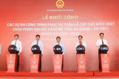 El viceprimer ministro de Vietnam, Nguyen Chi Dung, presidie la ceremonia de inicio de 10 proyectos clave de infraestructura para la Cumbre del APEC. (Foto: VNA)