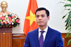 El viceministro de Relaciones Exteriores Dang Hoang Giang. (Foto: VNA)