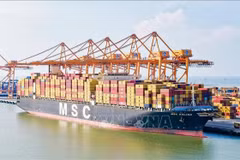 MSC KALINA es el mayor barco de contenedor que atraca al puerto de Lach Huyen, en la ciudad norteña de Hai Phong. (Foto: VNA)