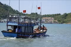 Embarcaciones pesqueras zarpan hacia alta mar. Foto: VNA