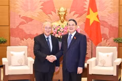 El vicepresidente del Parlamento vietnamita Nguyen Duc Hai y el presidente del WUS alemán Kambiz Ghawami acordaron ampliar colaboración en formación, transformación digital y gestión presupuestaria. (Foto: VNA)