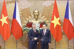 El presidente de la Asamblea Nacional de Vietnam, Tran Thanh Man, y el presidente del Senado de la República Checa, Milos Vystrcil. (Foto: VNA)