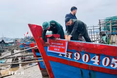 Quang Ninh impulsa gestión pesquera digital y modernización portuaria para superar "tarjeta amarilla" de la CE (Foto: VNA)