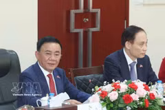 El miembro del Buró Político y permanente del Secretariado del Comité Central del Partido Comunista de Vietnam, Tran Cam Tu. (Foto: VNA)