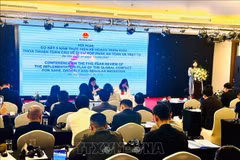 Vietnam evalúa implementación de pacto global sobre migración legal. (Foto: VNA)