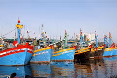 Provincia de Lam Dong intensifica la lucha contra la pesca ilegal