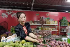 Las autoridades locales constituyen la primera línea para garantizar la eficacia y la calidad del sistema de códigos de identificación. (Foto ilustrativa: Vietnam+)