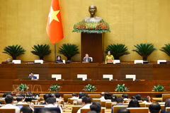 La vicepresidenta de la Asamblea Nacional Nguyen Thi Thanh dirige la sesión de trabajo. (Foto: VNA)