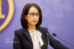 La portavoz del Ministerio de Relaciones Exteriores, Le Thi Thu Hang. (Foto: VNA)