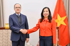 La viceministra de Relaciones Exteriores de Vietnam, Le Thi Thu Hang, recibe al embajador ruso en el país indochino, Gennady Bezdetko. (Foto: VNA)
