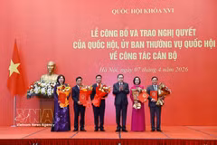 El presidente de la Asamblea Nacional de Vietnam, Tran Thanh Man, entrega resoluciones a los vicepresidentes de las comisiones y otros cargos directivos de la Oficina de la Asamblea Nacional. (Foto: VNA)
