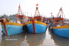 Provincia de Dong Thap refuerza control de flota pesquera para frenar pesca ilegal (Foto: VNA)