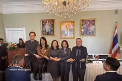 Vietnam asume la presidencia del Comité de la ASEAN en Copenhague (Foto: VNA)