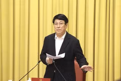 Presidente vietnamita supervisa preparativos para festividades del Año Nuevo Lunar
