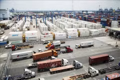 Vietnam implementa estrategias de adaptación para blindar su crecimiento exportador (Foto: VNA)