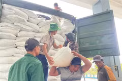 Arroz de ayuda es transportado a las localidades gravemente afectadas por las inundaciones. (Foto: VNA)