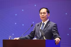 El viceprimer ministro de Vietnam Bui Thanh Son en el evento. (Foto: VNA)