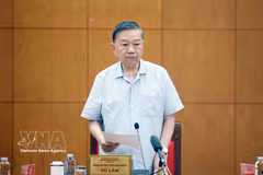 El secretario general del Partido Comunista y presidente de Vietnam, To Lam, insta a desarrollar la industria de materiales. (Foto: VNA)