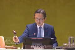 El embajador Do Hung Viet, jefe de la misión permanente de Vietnam ante la ONU. (Foto: VNA)