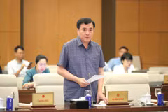 El viceministro de Industria y Comercio Nguyen Sinh Nhat Tan en la reunión. (Foto: VNA)