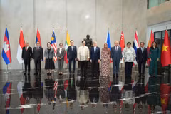 Altos funcionarios de ASEAN impulsan cohesión regional rumbo a la 48ª Cumbre (Foto: Cancillería de Vietnam)