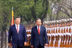 El secretario general del Partido y presidente de Vietnam, To Lam, (derecha) y su homólogo chino, Xi Jinping (Foto: VNA)