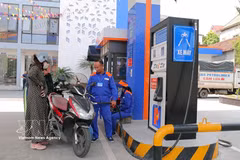 Una gasolinera de Petrolimex. (Foto: VNA)