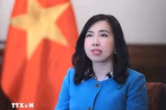La viceministra de Relaciones Exteriores Le Thi Thu Hang (Foto: VNA)