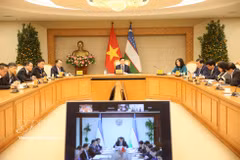El viceprimer ministro vietnamita Tran Hong Ha durante una reunión en línea con su homólogo uzbeko, Jamshid Khodjaev. (Foto: VNA)