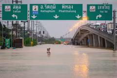 Inundaciones en Tailandia. (Foto: Xinhua)