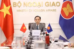 El miembro del Buró Político y ministro de Relaciones Exteriores de Vietnam, Le Hoai Trung. (Foto: VNA)