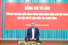 Máximo dirigente de Vietnam insta a fortalecer inspección preventiva y control del poder (Foto: VNA)
