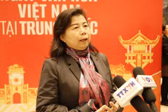 La académica china Liu Ying, investigadora del Instituto Financiero Chongyang de la Universidad Renmin (Foto: VNA)