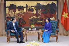 La viceprimera ministra vietnamita Pham Thi Thanh Tra se reúne con el embajador chino He Wei. (Foto: chinhphu.vn)