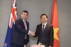 El viceprimer ministro vietnamita Tran Hong Ha y su homógogo neozelandés David Seymour. (Foto: VNA)