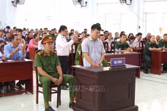 Dong Thap enseña con juicio simulado contra pesca ilegal. (Foto: VNA)