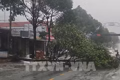 Tifón Kalmaegi deja 5 muertos y daños en Vietnam