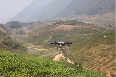 El uso de drones en la producción agrícola impulsa la modernización y la transformación digital del sector. (Fuente: nhandan.vn)