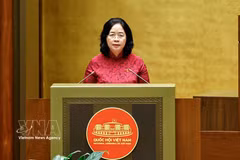 La presidenta del Frente de la Patria de Vietnam, Bui Thi Minh Hoai. (Foto: VNA)