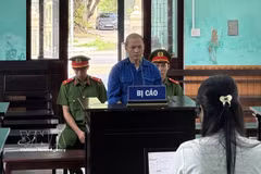 El acusado Ho Van Phuong Tam (Foto: VNA)